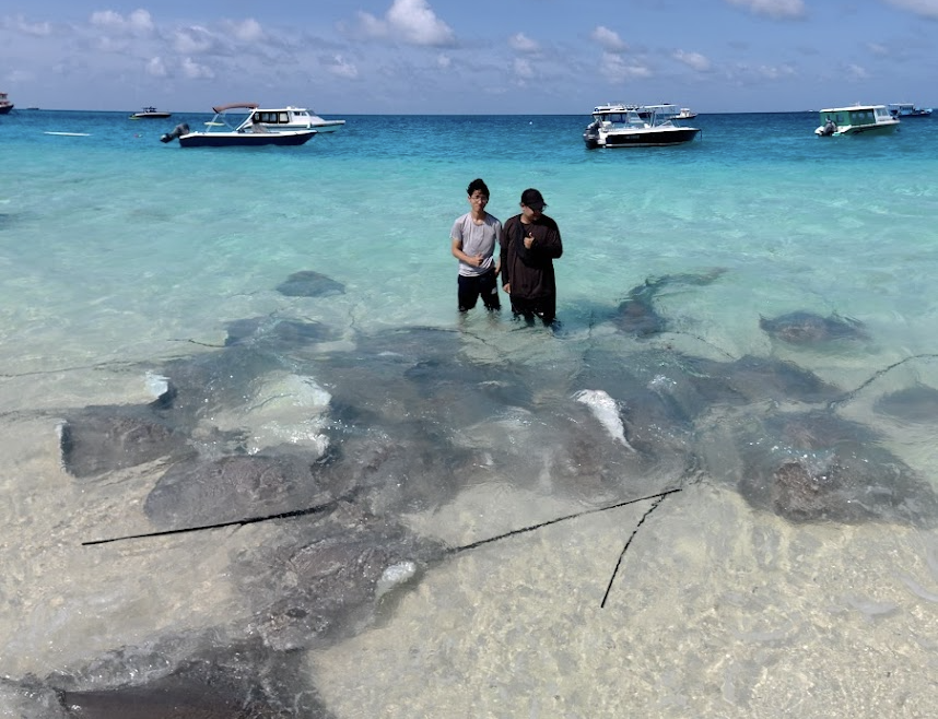 Stingrays & Shark Beach Point