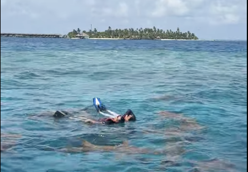 Shark Point